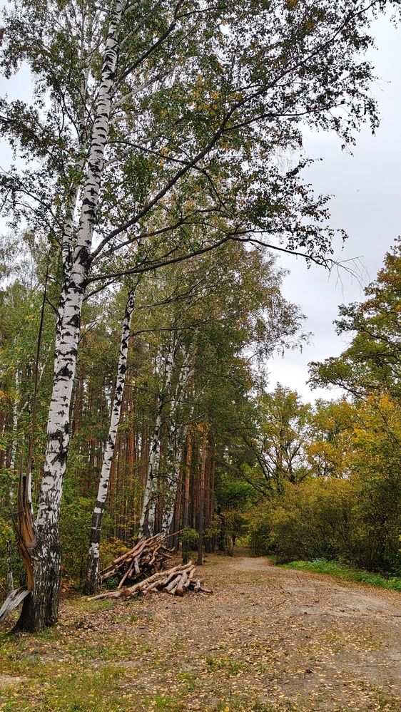 Photograph by Татьяна Нестерова