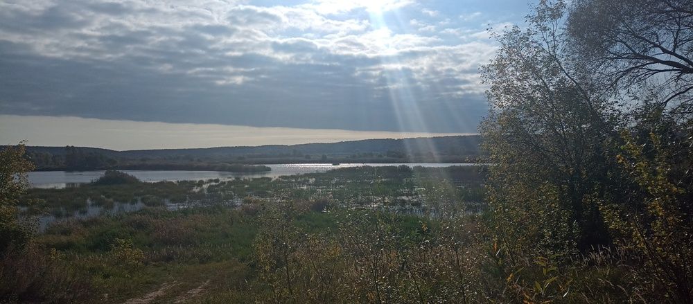 Photograph by Константин Сафронов