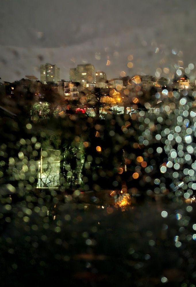 Photograph by Любовь