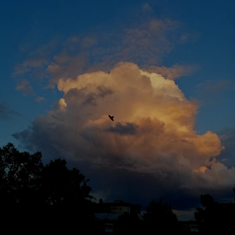 Photograph by Алексей Титков
