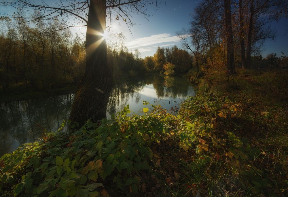 Фотография автора Чичкин Валерий