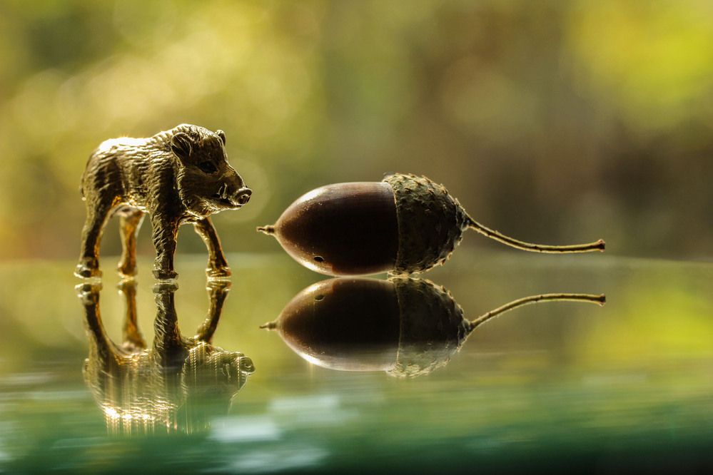 Фотография автора Наталья Гайдукевич