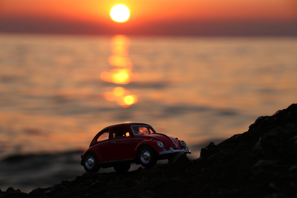 Фотография автора Наталья Гайдукевич