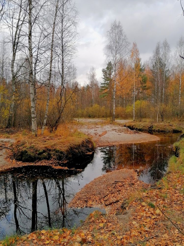 Когда осень хмурится