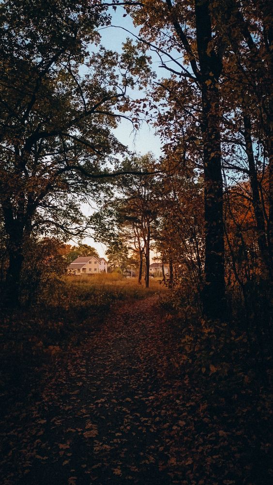 Photograph by Людмила Горячева