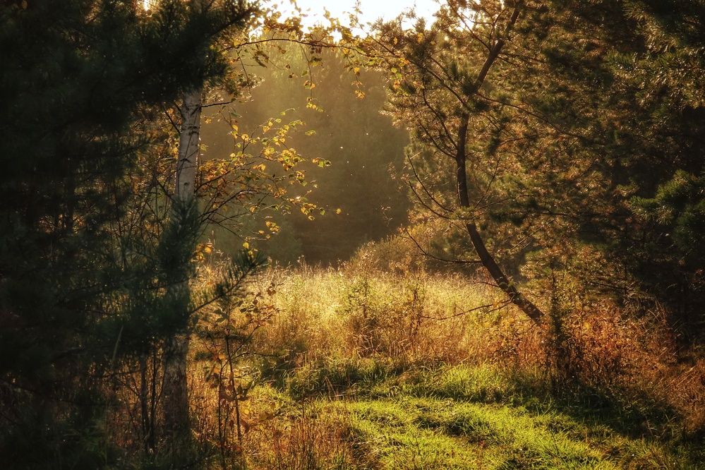 Фотография автора Екатерина Солохина