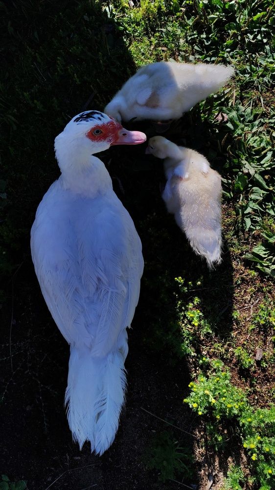 Photograph by Калюнова Наталья