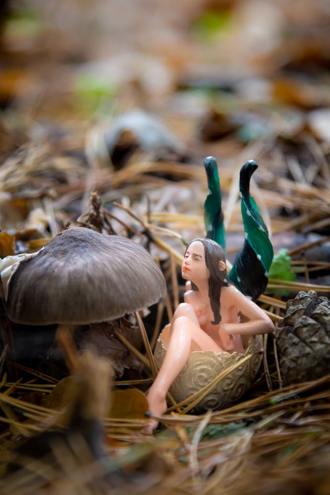 Фотография автора Игорь Куксинский