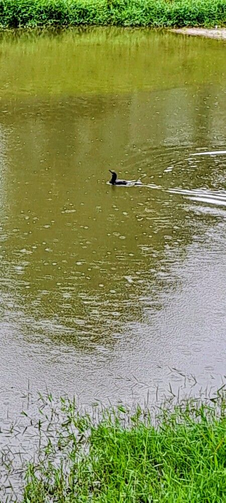 Photograph by Meire Costa