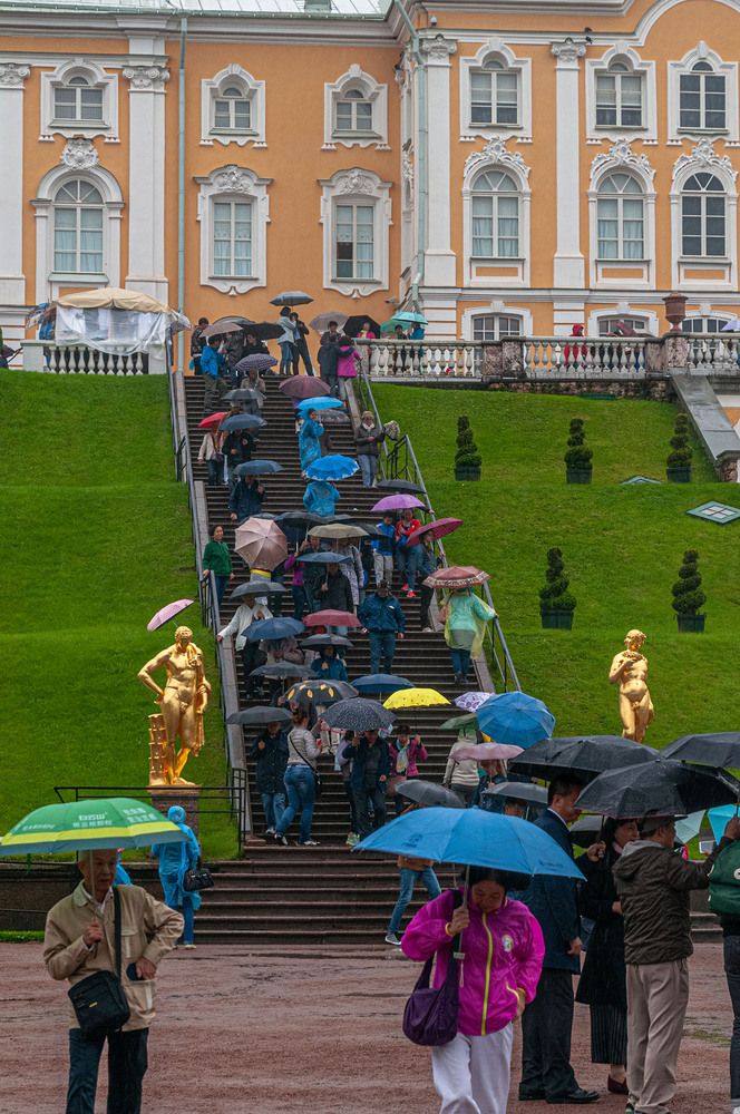 Photograph by Vladimir  Komarov