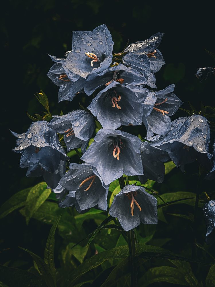 Photograph by Екатерина Никитина