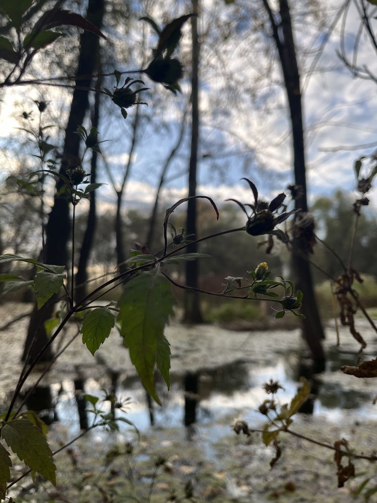 Photograph by Динара Dinara