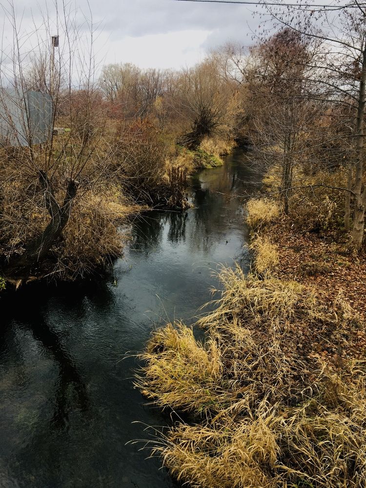 Photograph by Динара Dinara