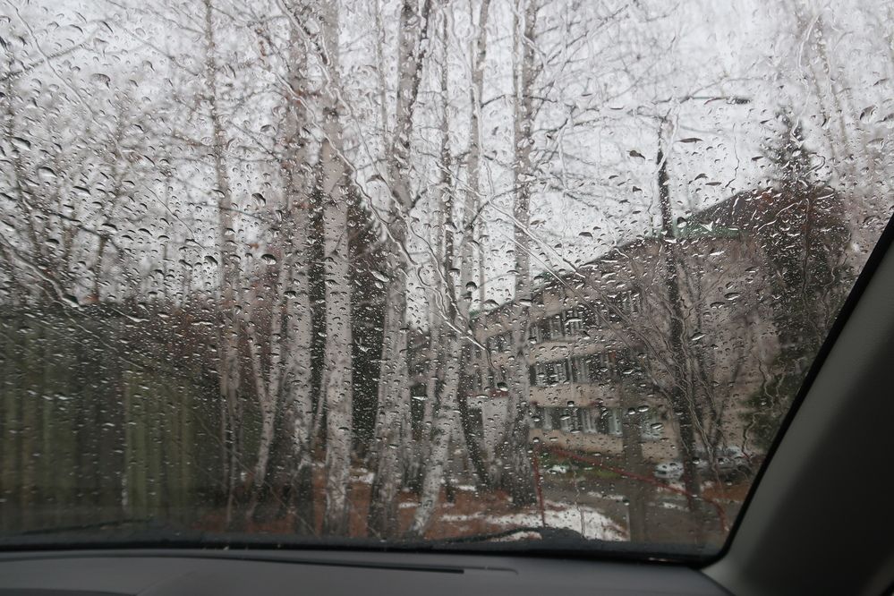 Photograph by Нина