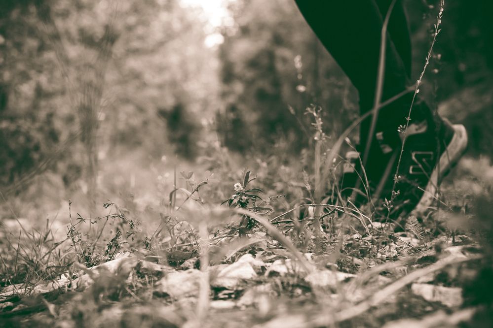 Photograph by Морозов Алексей