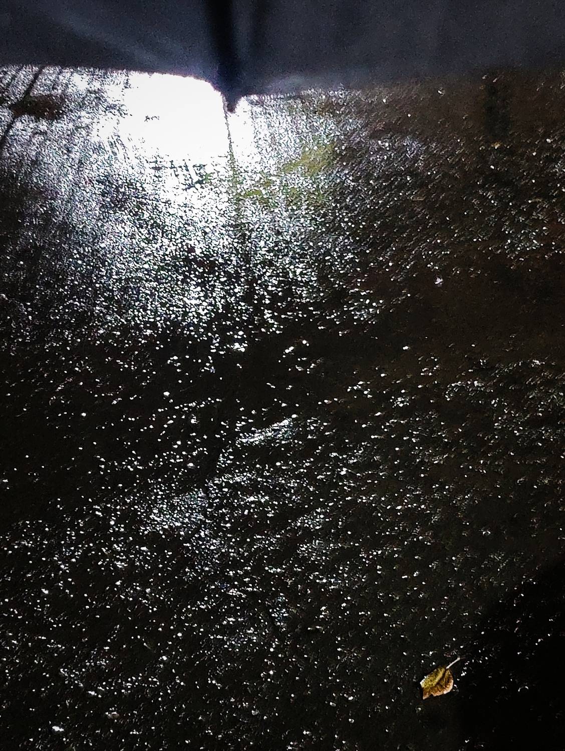 Photo #12639402