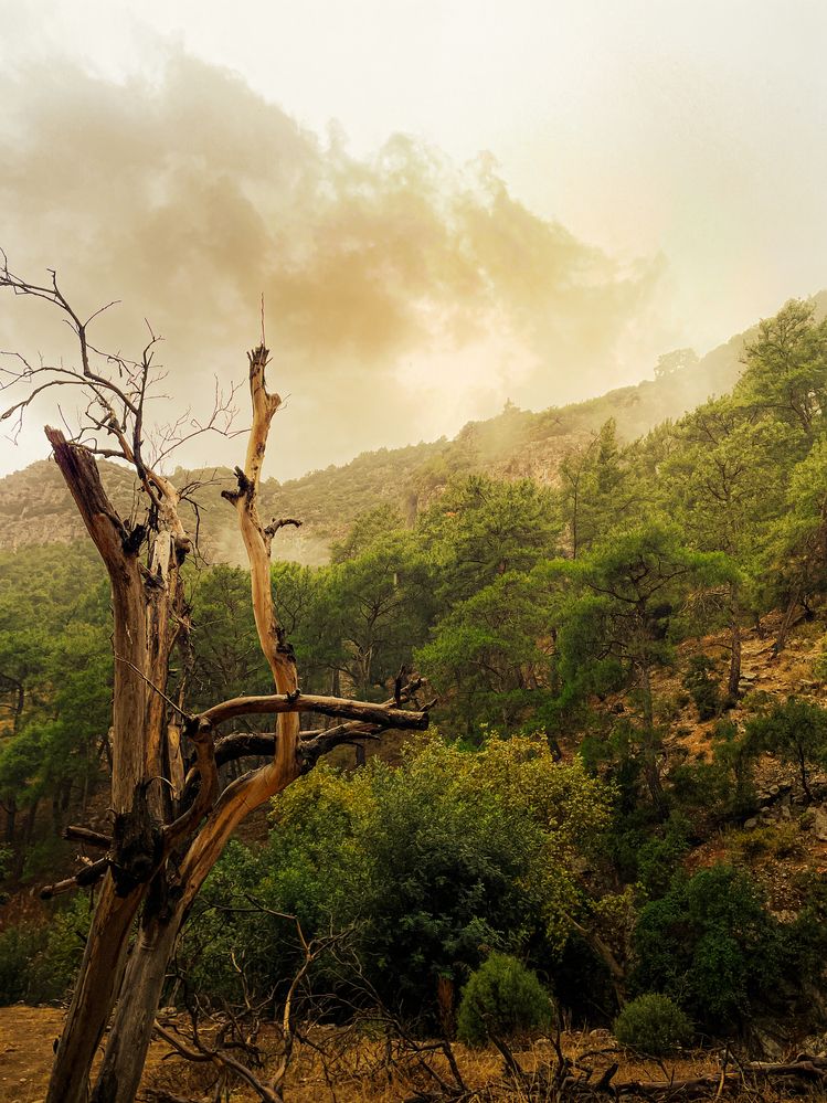 Photograph by Elizabeth Barkovskaya