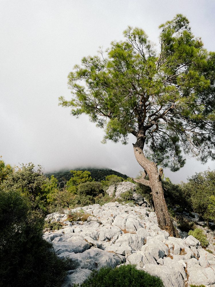 Photograph by Elizabeth Barkovskaya