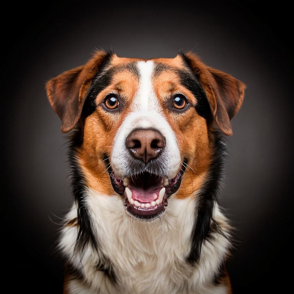 Photograph by Виталий Маслов