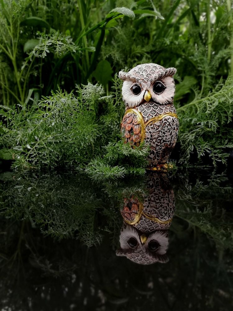 Photograph by Ульяна Кузьмина