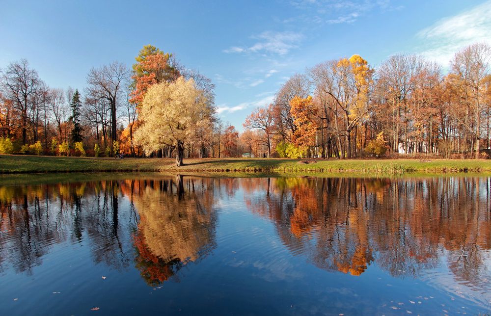 Осенняя симметрия