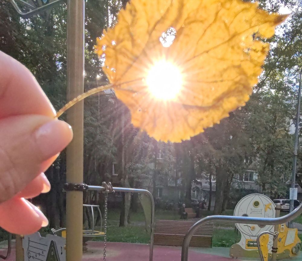 Photograph by Ольга Сошина