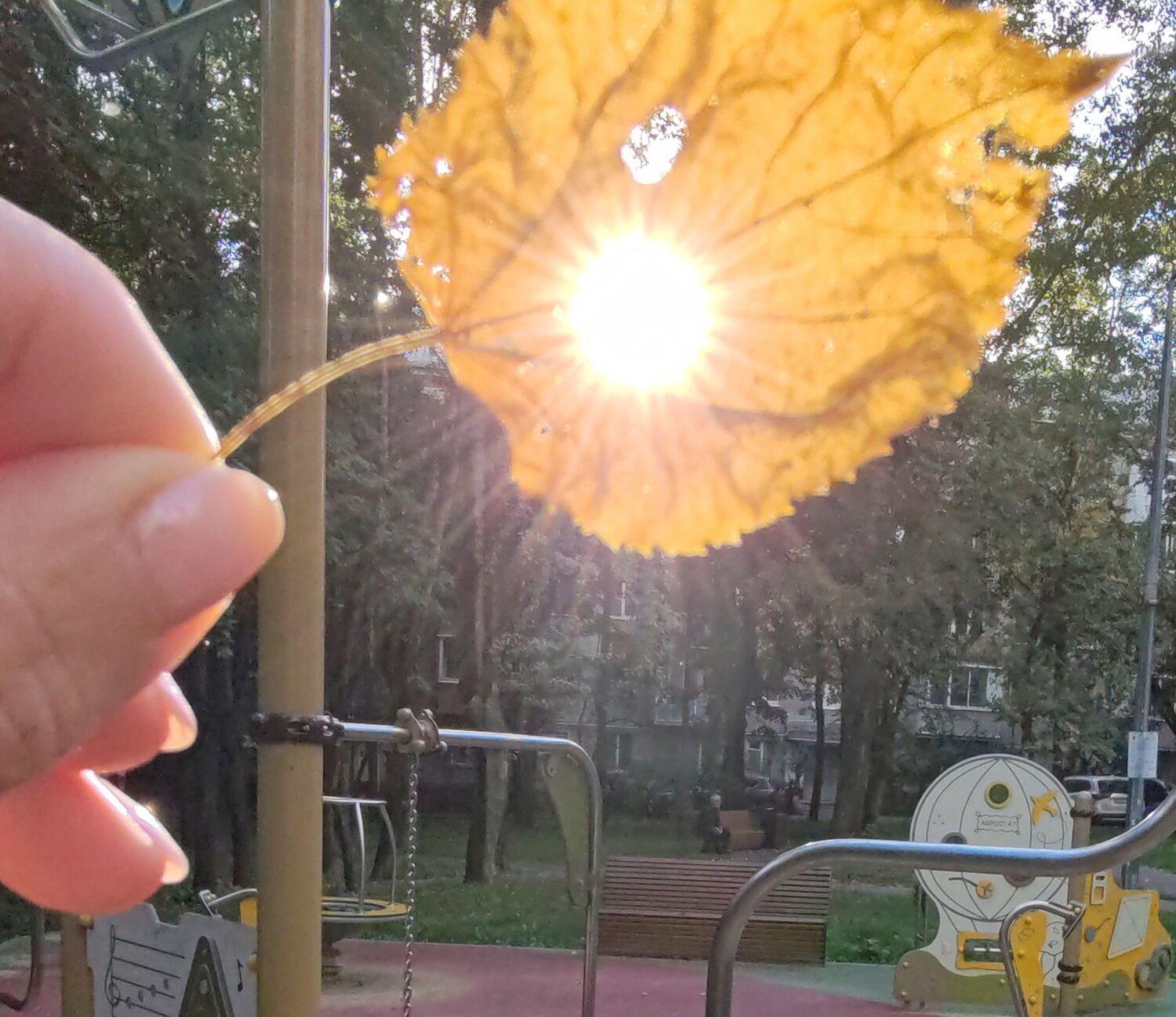 Photo #12639543