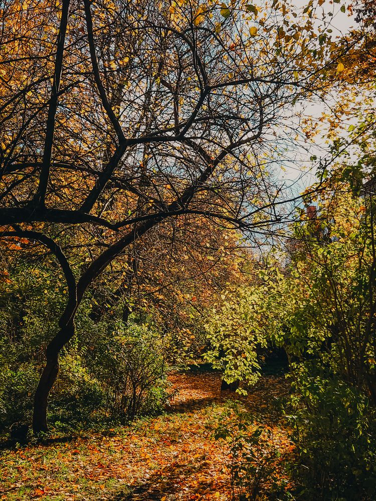 Photograph by Кристина Альшанская