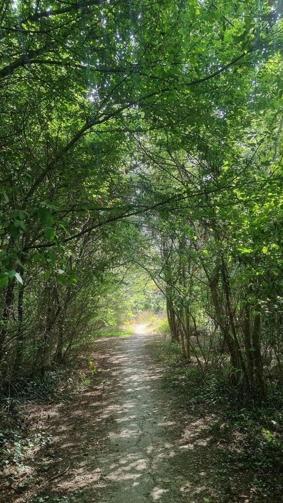 Фотография автора Наталья