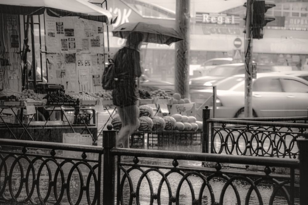 А ливень всё льёт да льёт (чб)