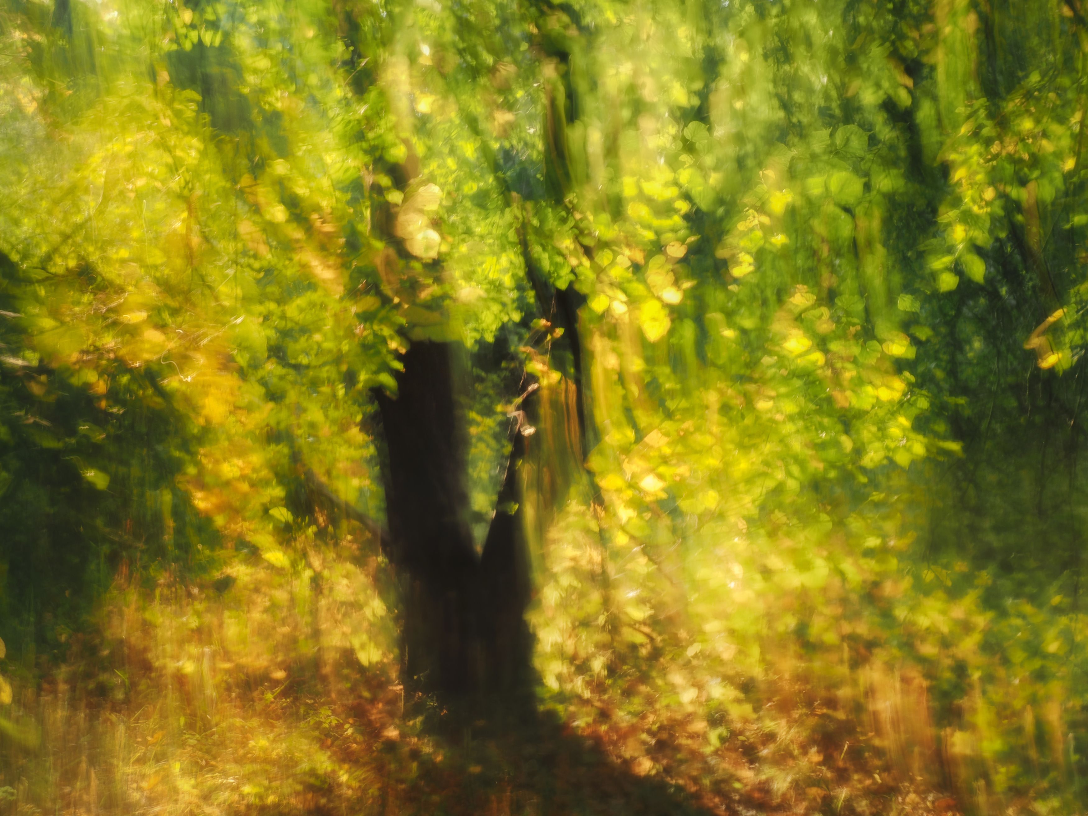 Photograph by Маргарита Смоленская