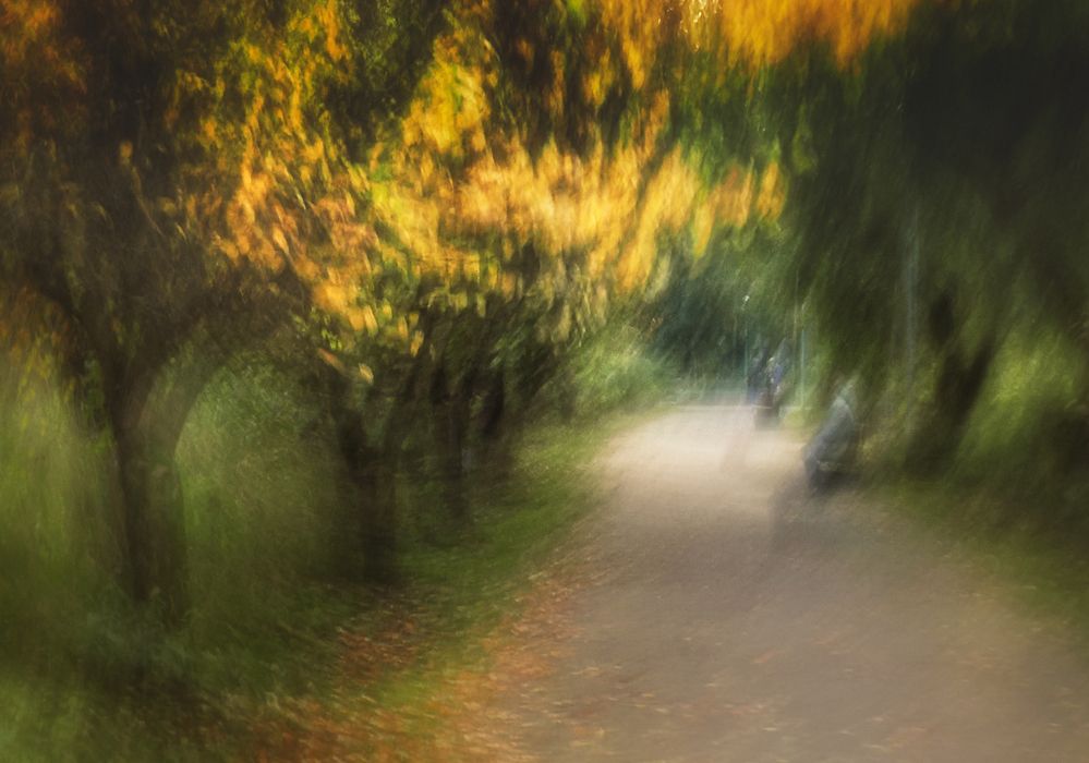 Photograph by Маргарита Смоленская