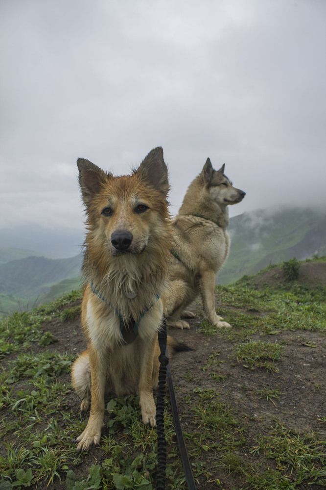 Photograph by Мария Бобылева