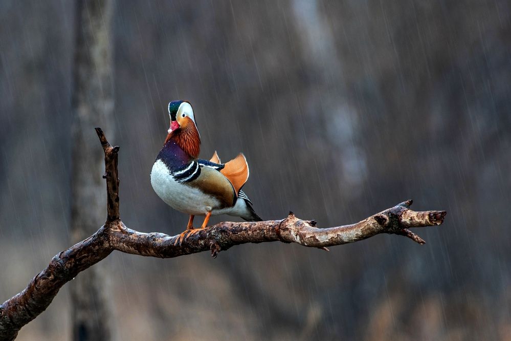 Photograph by Константин Тучин