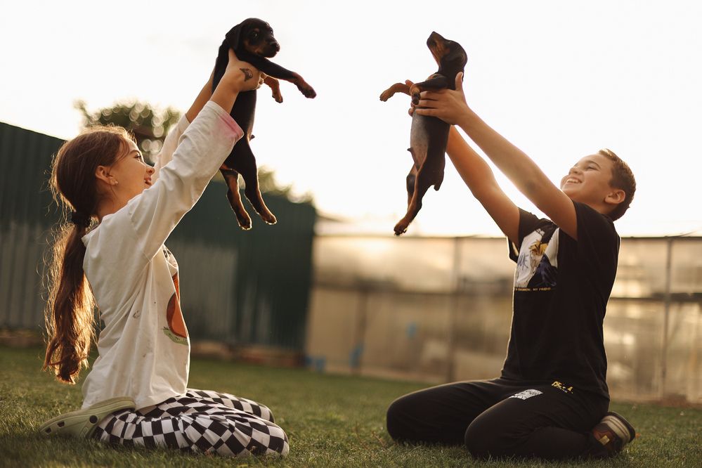 Photograph by Sytcheva Katya