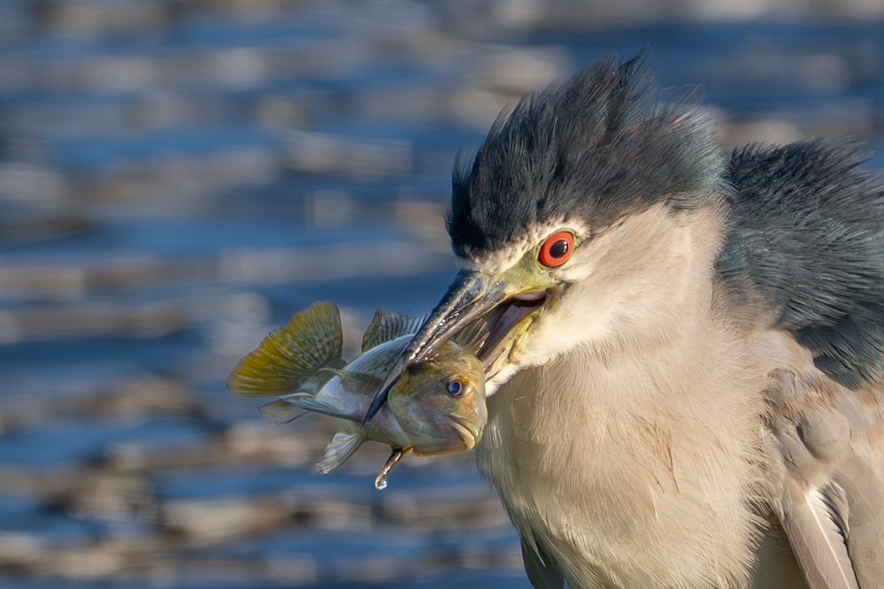 Photograph by Guy Wilson