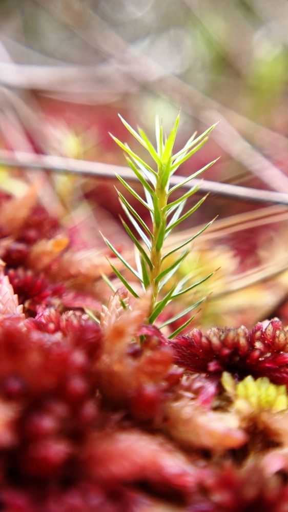 Photograph by Eugenia Blinova