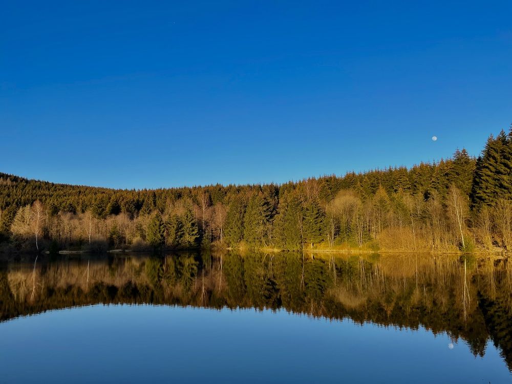 Photograph by Alena Tureva