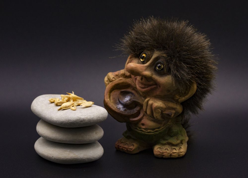 Photograph by Катерина Остапенко