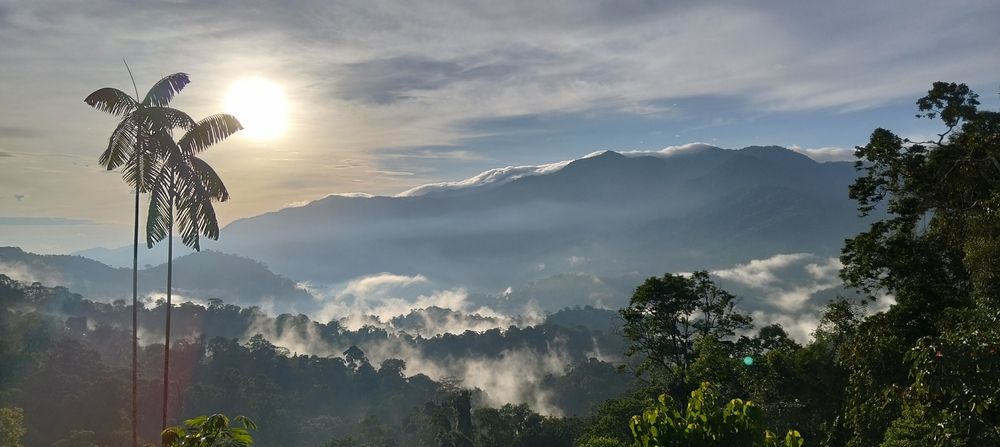 El planeta aún respira