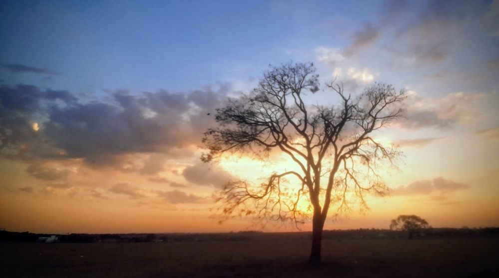 Photograph by Régis Santos