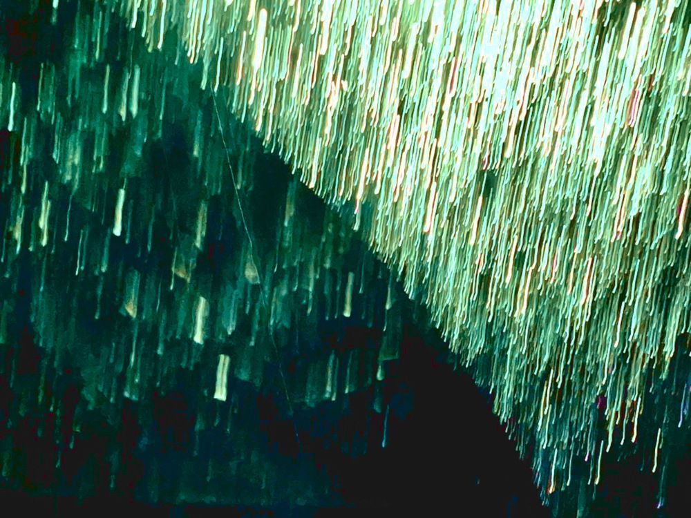 Photograph by Dario Meroni