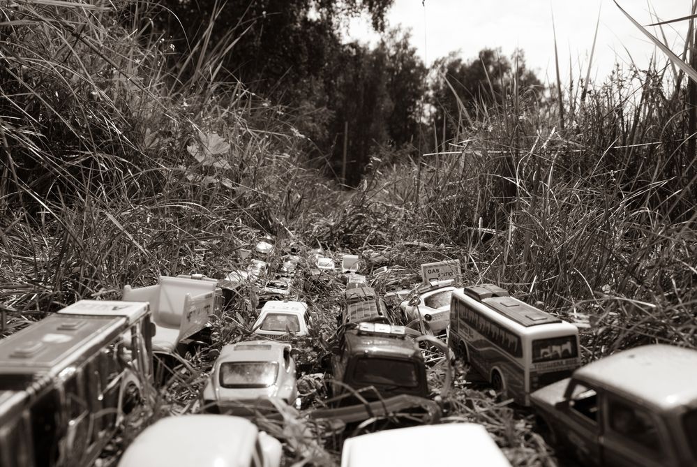 Photograph by Милена Полтавец