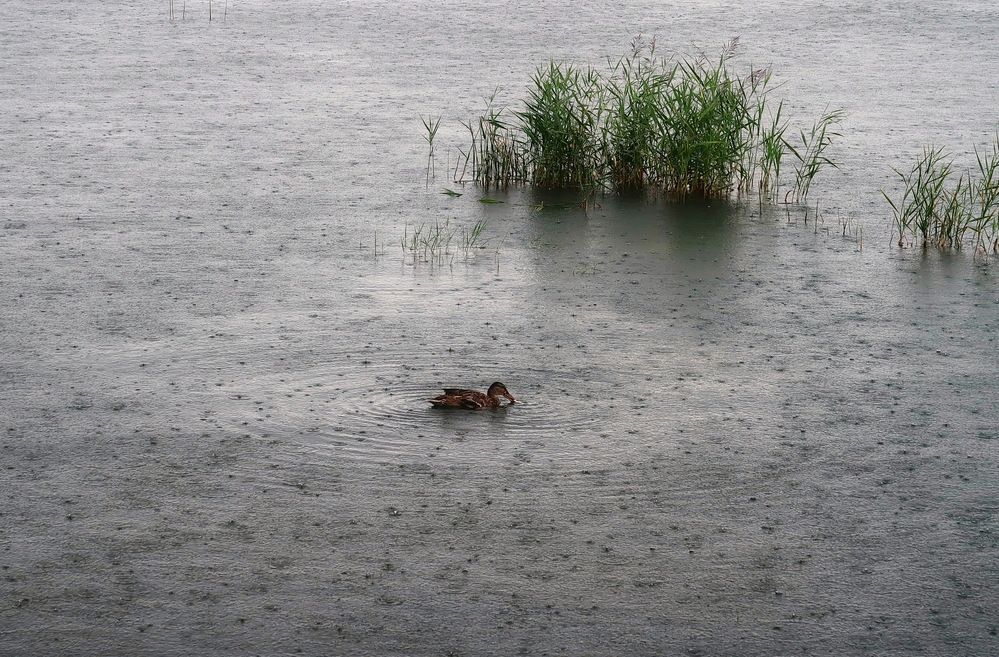 Photograph by Нина