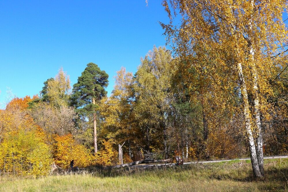 Photograph by Гагик Саркисян