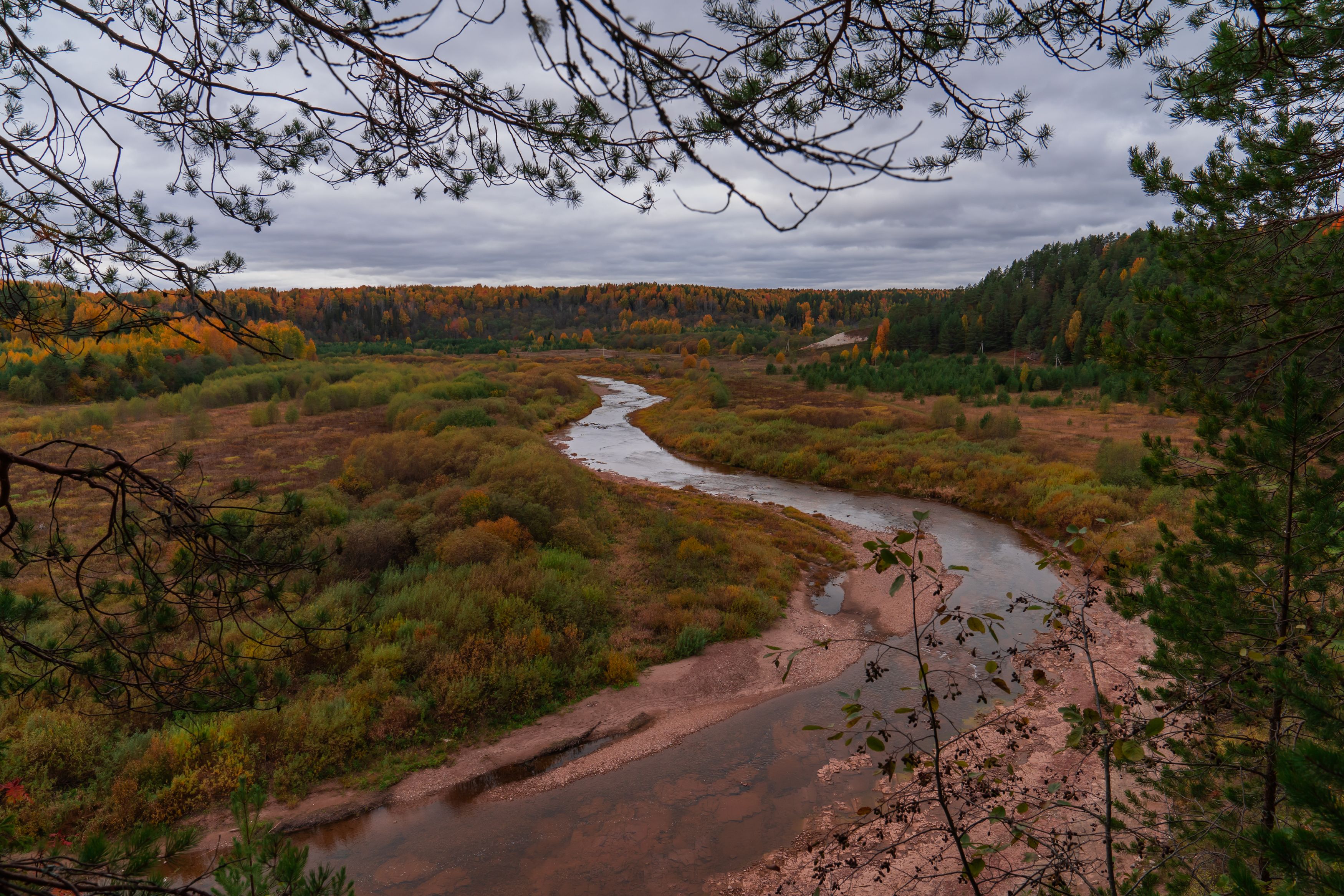 Photograph by Андрей Вешняков