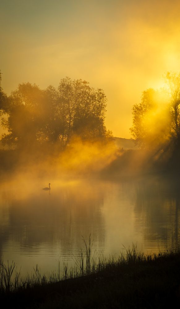 Фотография автора Геннадий Ломеко