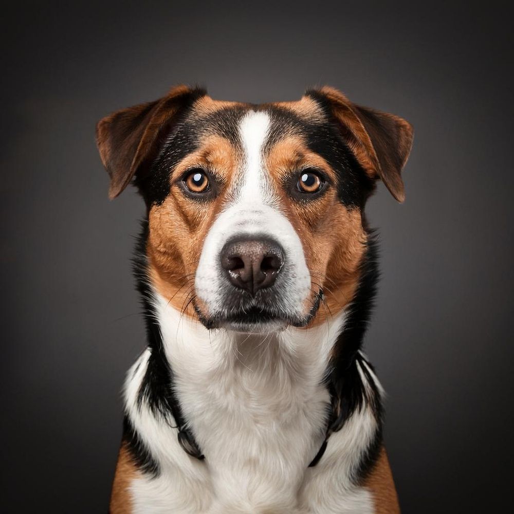 Photograph by Виталий Маслов