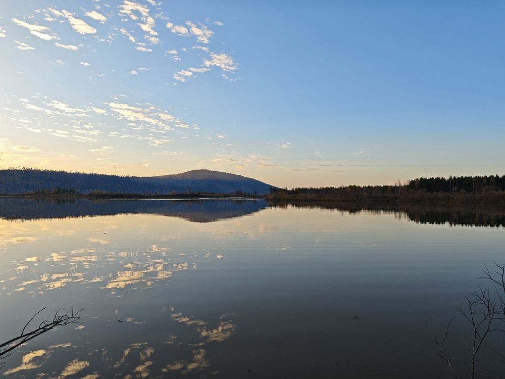 Photo #12640657
