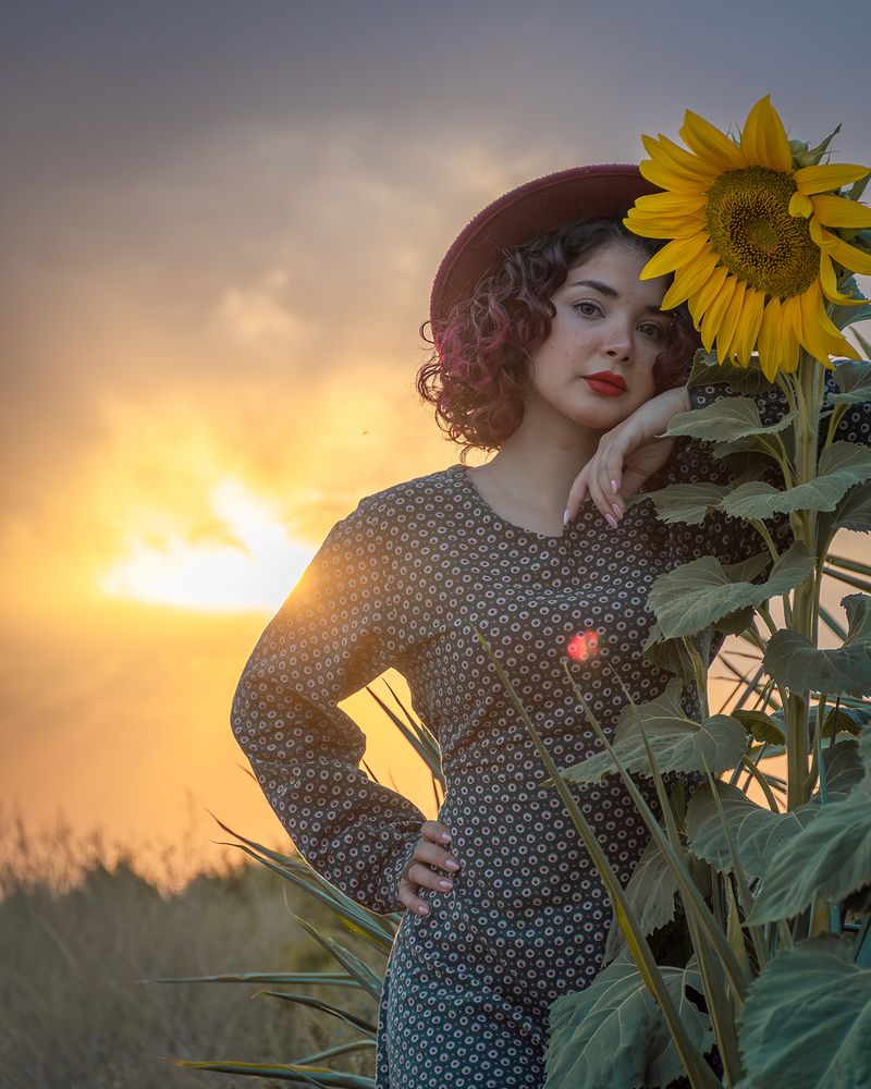 Фотография автора Milad Rasouli